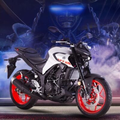 Yamaha MT-25