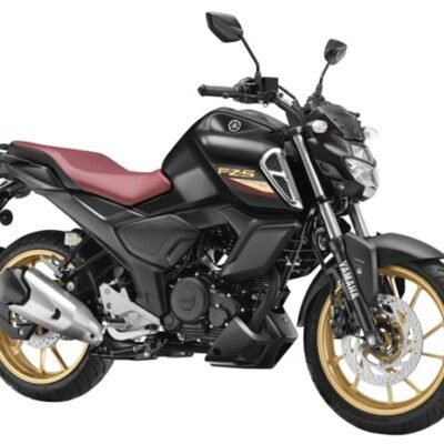 2022 Yamaha FZS