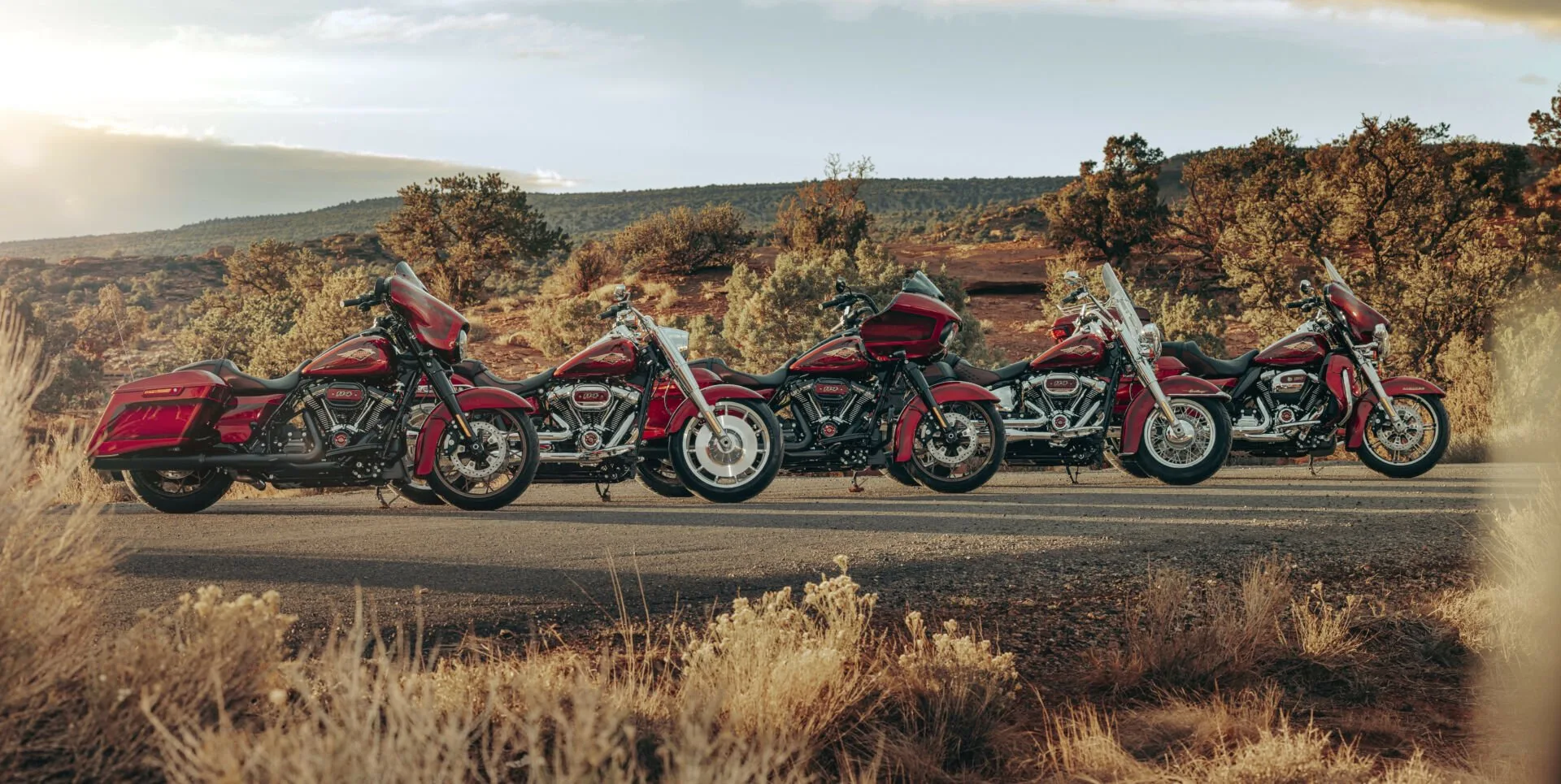 2023 Harley-Davidson Model