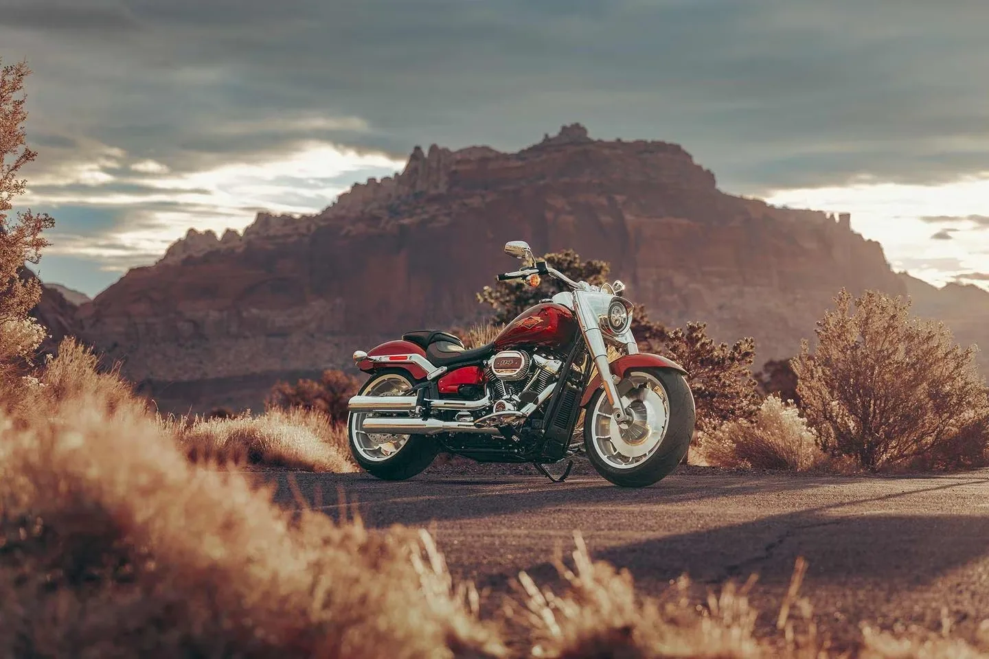 2023 Harley-Davidson Model